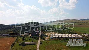 image_15