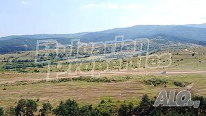 image_11