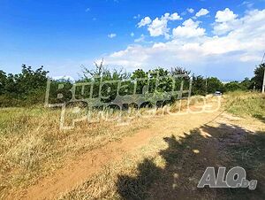 image_8