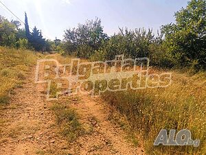 image_9