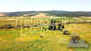 image_11