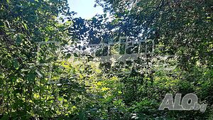 image_6
