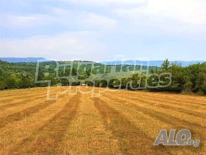 image_5