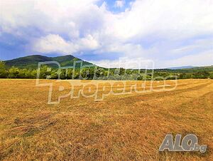 image_6