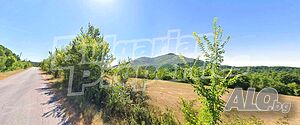 image_8