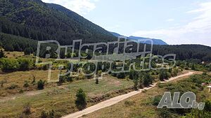 image_3