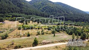 image_6