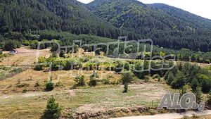 image_7