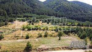 image_8