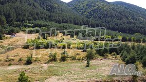 image_9