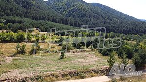 image_10