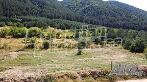 image_11