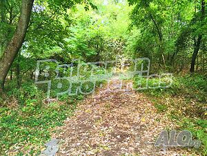 image_8