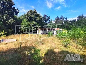 image_13