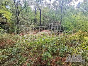 image_15