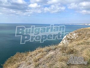 image_6