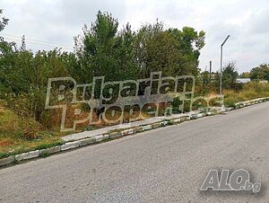 image_5