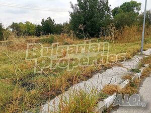image_6