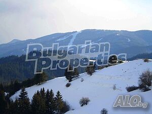 image_2