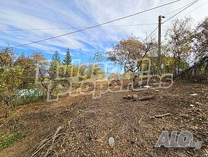 image_8