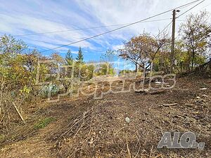 image_11