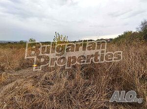 image_4