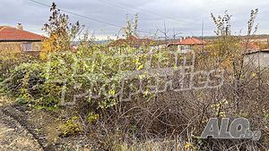 image_10