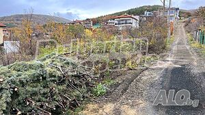 image_11