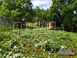 image_13