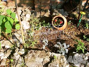 image_13