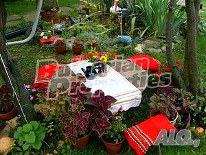 image_14