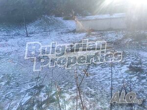 image_4