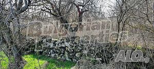 image_11