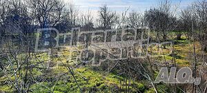image_13