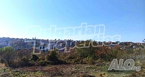 image_3
