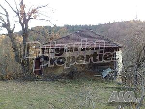 image_10