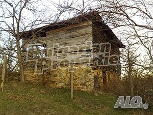 image_11