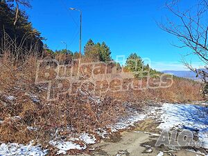 image_9