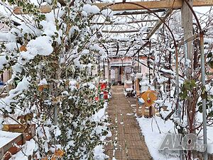 image_11