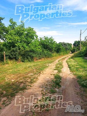 image_4