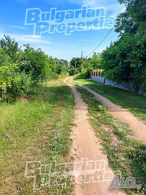image_5