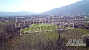 image_4