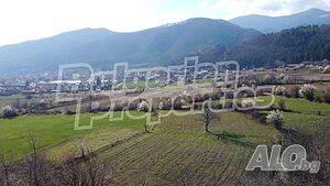 image_7