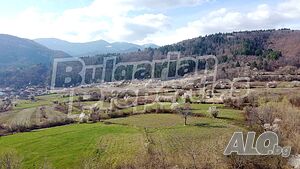 image_11