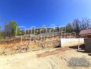 image_7