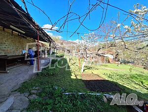 image_9