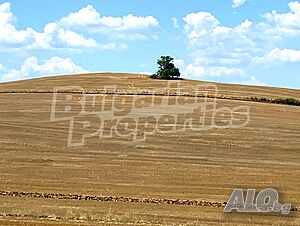 image_6