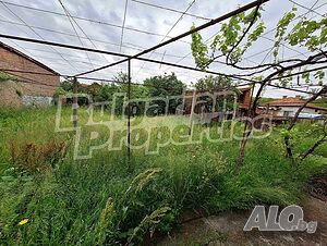 image_11