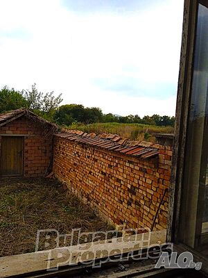 image_8