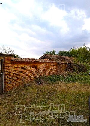 image_9